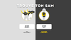 « Trouve ton SAM » : application mobile dédiée au covoiturage entre « fêtards »